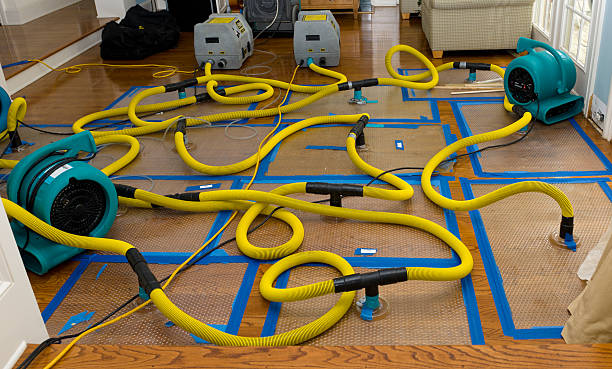 Professional Crawl Space Water Removal technician working in Oakfield, TN